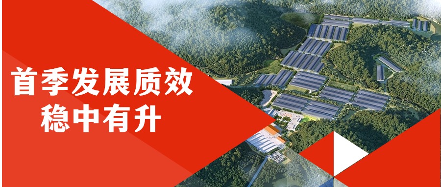 广咨mile体育官网首季发展质效稳中有升