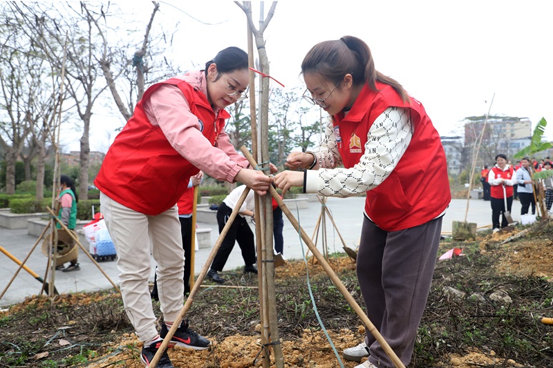 广咨集团开展植树节活动