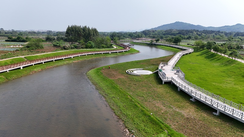 实干当“夏”丨mile米乐集团扎实开展漓江生态修复全咨项目评估验收